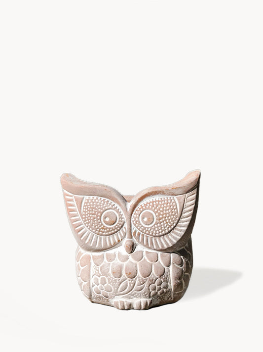 Big Eye Owl Terracotta Pot