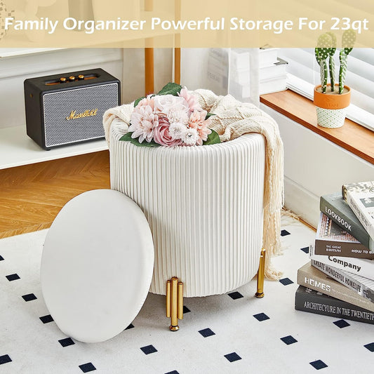 Sylvia Storage Ottoman with Padded Seat