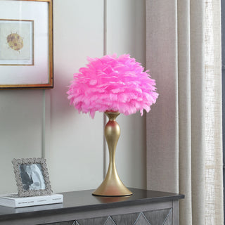 Pink feathered lamp on a table with a framed picture and books in the background.