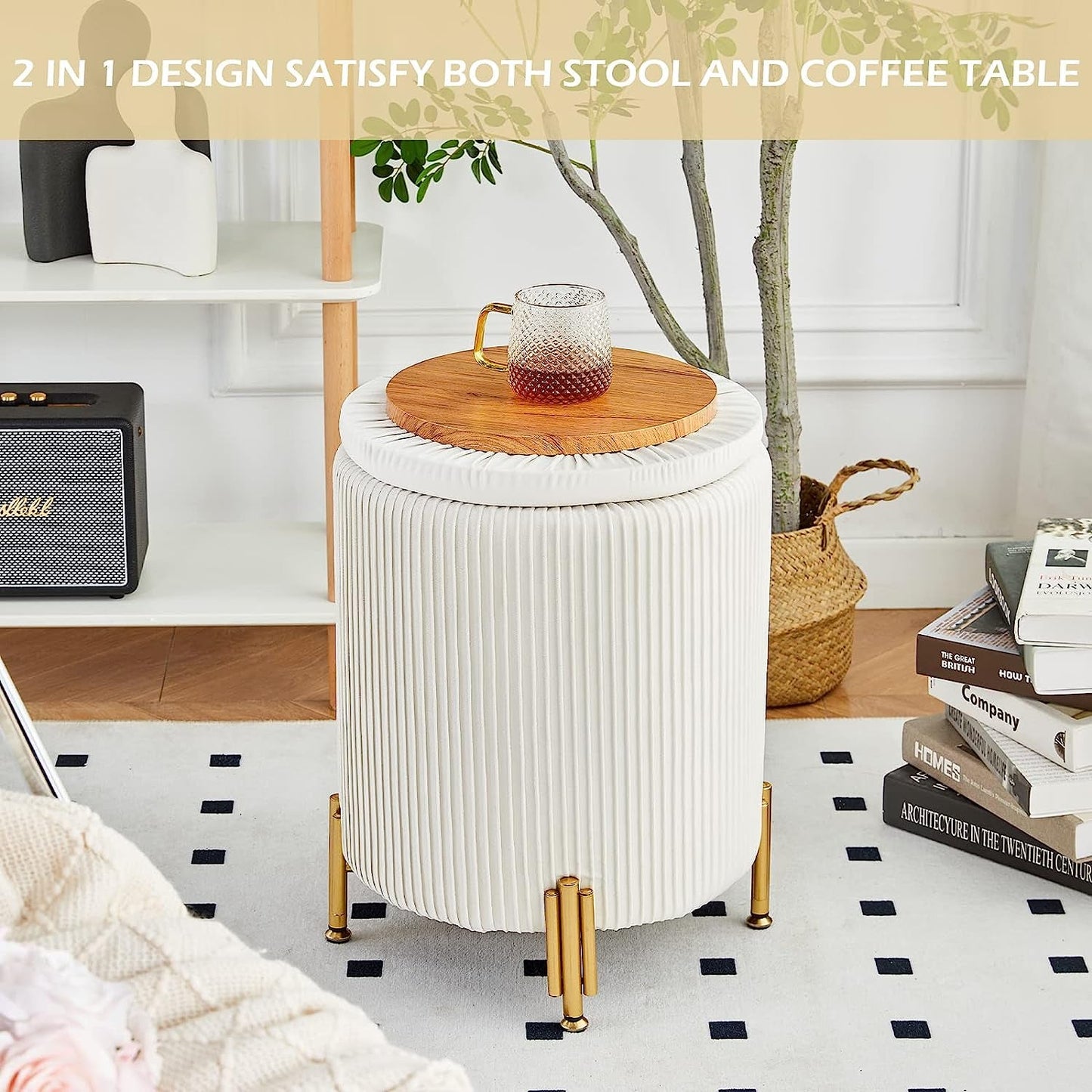 Sylvia Storage Ottoman with Padded Seat