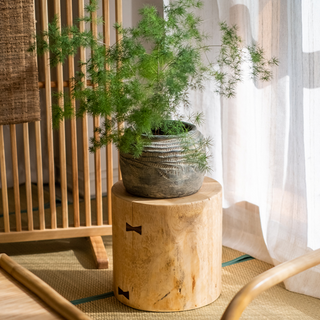 Pine Wood Pedestal Side Table