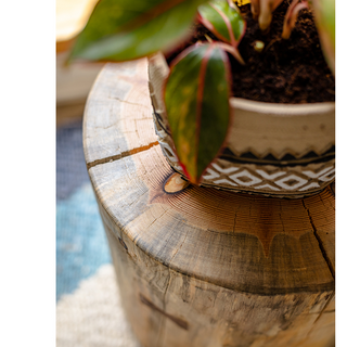 Pine Wood Pedestal Side Table