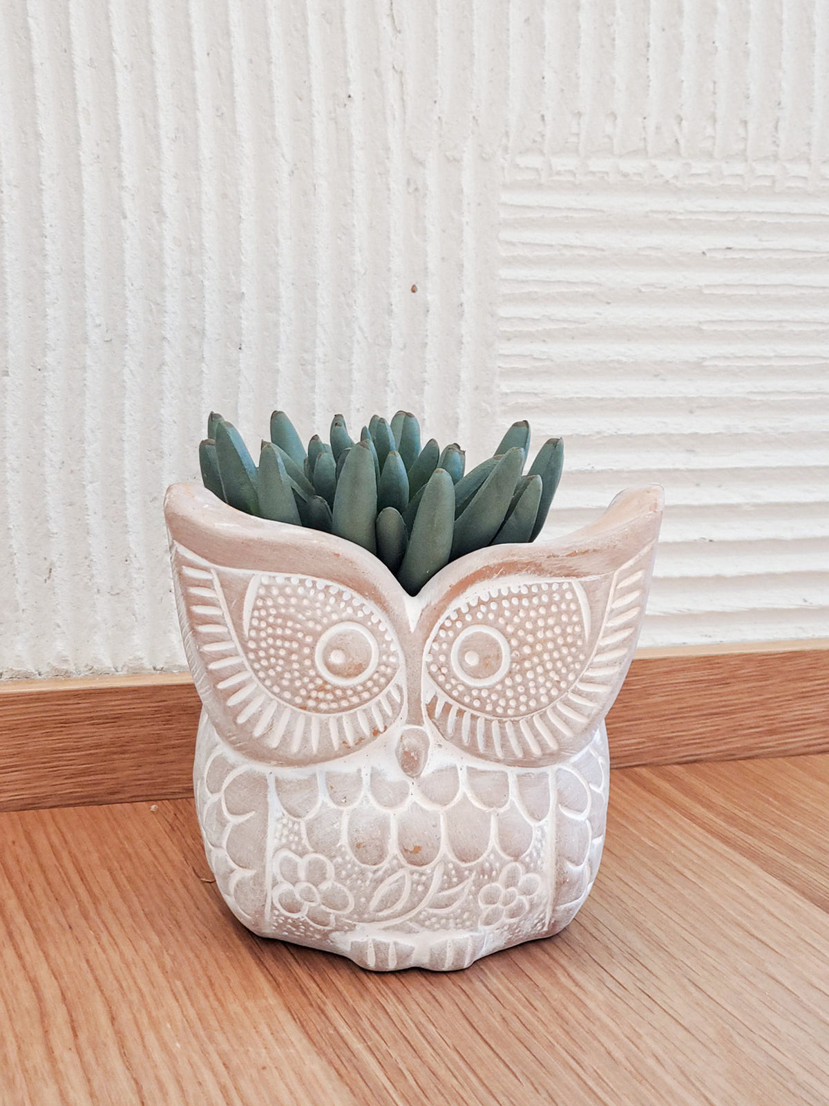 Big Eye Owl Terracotta Pot