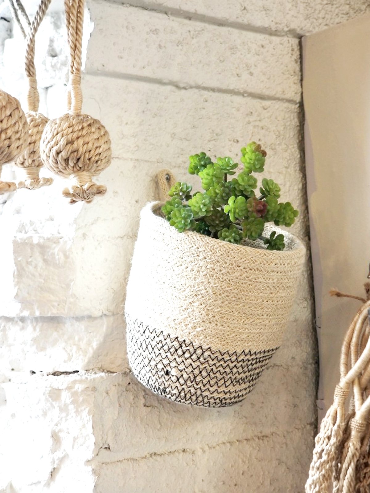 Woven plant holder with green succulents against a textured wall.