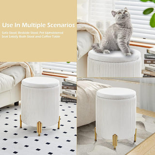 Sylvia Storage Ottoman with Padded Seat