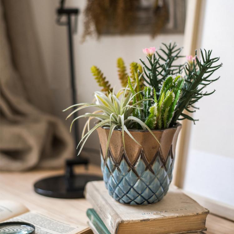 Potted cactus and succulents on a stack of books with a blurred background
