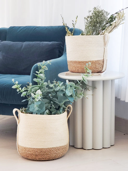 Decorative planters with greenery on a white surface, with a blue sofa in the background.