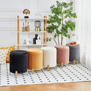 Sylvia Storage Ottoman with Padded Seat